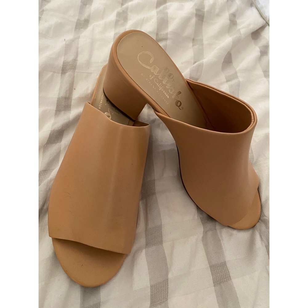 Callisto of California Mules